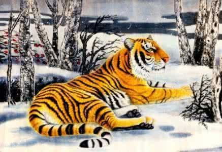 八字合婚：火猪和土虎八字合不合婚（火猪和土虎相配吗）
