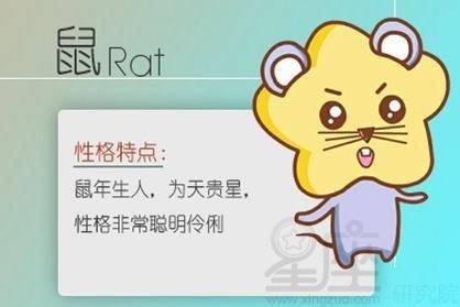 今日运势：鼠今日生肖运势大全（生肖鼠今日运势解析）
