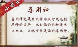 八字合婚：八字合婚喜神忌神一样（八字喜忌相同能结婚吗）