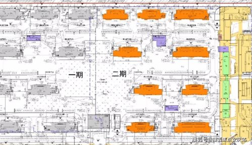 狮子近期事业运势查询网（狮子运势2021）