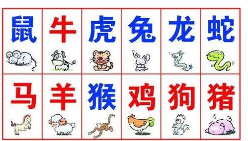 八字合婚：虎和兔属八字合不合婚事（虎和兔属八字合不合婚事）