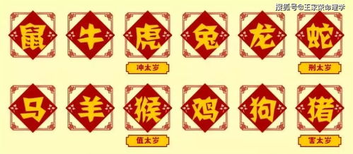 今日运势：今日生肖整体运势查询（今日 生肖）
