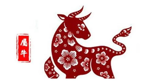 今日运势：16日今日生肖运势（今日生肖每日运势）