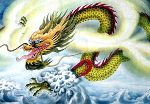 今日运势：丙辰龙年今日运势（龙年今日运情）