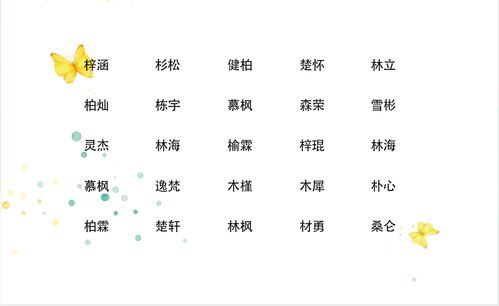 宝宝取名：姓江的男宝宝怎么取名（姓江的男孩取什么名字好二字）