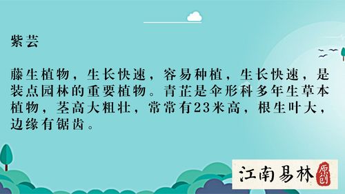 何茂宝宝取名，寓意美好，充满希望