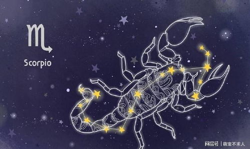 火象星座中的老大之争，谁才是火象星座的领导者？