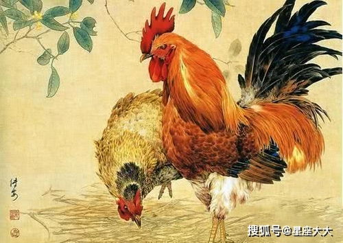 农历七月属鸡感情运势，爱情升温，运势美满