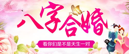 八字合婚，年月日如何相和，构建和谐美满的婚姻生活