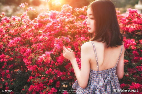 水瓶一月感情运势，旧情复燃，甜蜜重逢