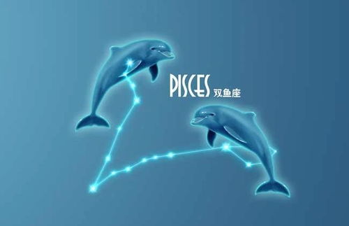 今日运势揭秘，双鱼座的温柔力量，带来意想不到的惊喜！