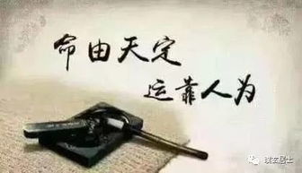揭秘合婚的八字命相，相知相守的奥秘