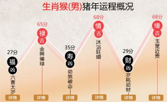 今日老黄生肖运势，运势详解，助你把握良机