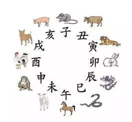 近期生肖运势盘点，揭秘运势最好的属相，快来一探究竟！