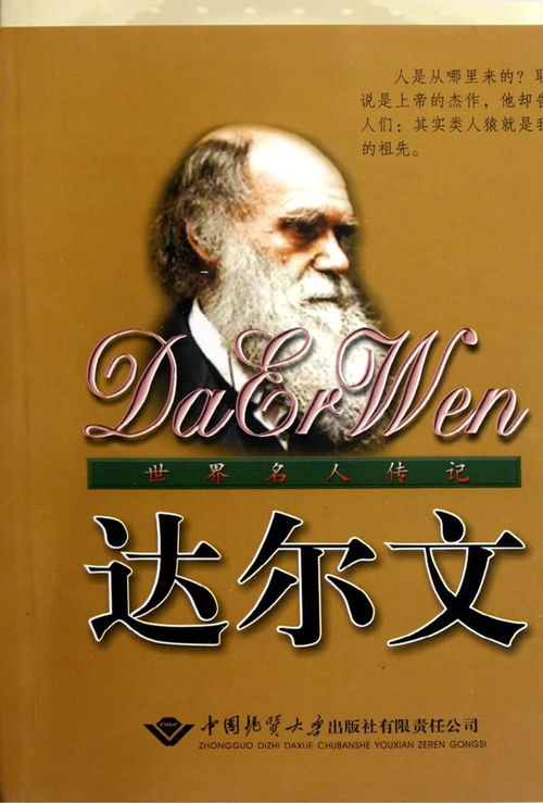 师父揭秘，八字合不合婚的奥秘与智慧