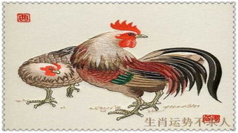 属鸡女今日运势揭秘，好运连连，事业爱情双丰收！
