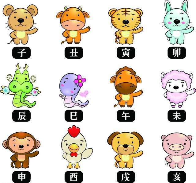 近期运势属相查询表大全，揭秘十二生肖运势走向，助你把握未来！