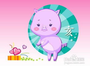属猪今日运势查询结果，喜忧参半，运势波动大，该如何应对？