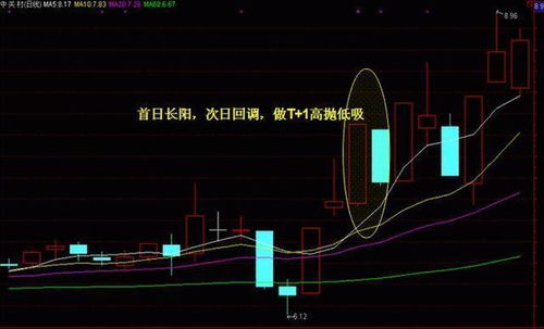 星座判断，揭开阴历与阳历的神秘面纱