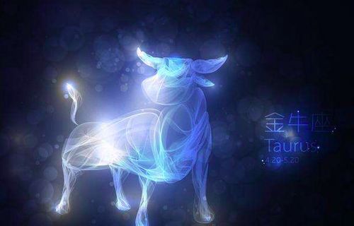 金牛座女性性格解析，稳重与细腻的完美结合