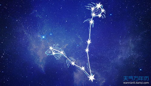 揭秘双鱼座，全面解析这个神秘而浪漫的星座