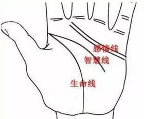 手相看感情运势，准与不准的辩证分析