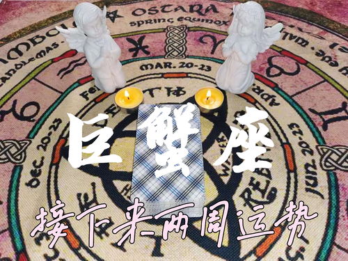 权杖五逆位，揭秘感情运势中的困境与转机