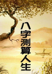 揭秘最合婚的八字命格，探寻命中注定的美满姻缘
