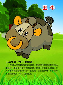 今日生肖运势1995年，95年出生的朋友，今天运势如何？