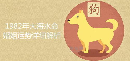 属狗今日运势预测，运势起伏不定，需谨慎行事