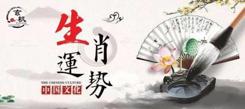 近期土象和风象运势解析，机遇与挑战并存