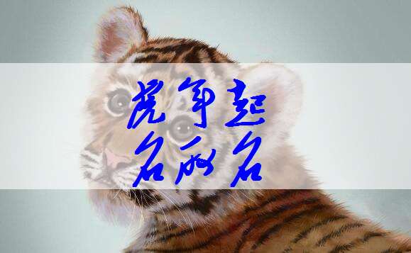 铭虎宝宝取名男孩，传承文化，彰显个性