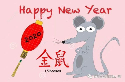 老鼠今日运势查询，揭秘2023年最新运势走向，助你趋吉避凶！
