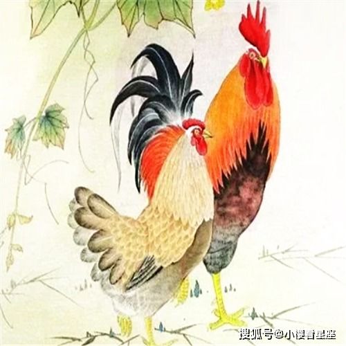 属鸡今日桃花运势，红鸾星动，爱情甜蜜来袭！