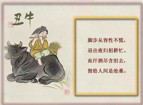 子鼠今日运势吉凶解析，把握运势，迎接美好未来