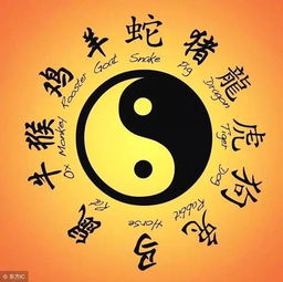 双鱼今日运势，白陶陶为你揭秘，好运连连！