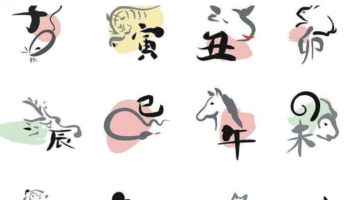 2019虎一月感情运势，爱情起航，运势攀升