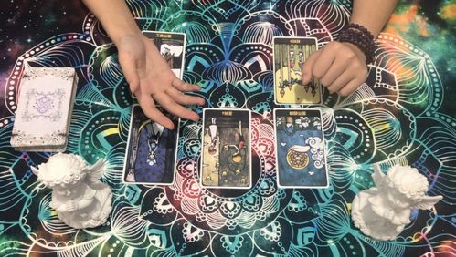 六月感情塔罗运势，揭秘爱情与命运的交织