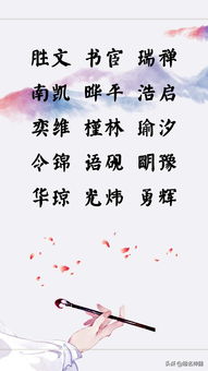 张姓女孩取名指南，寓意美好，彰显个性