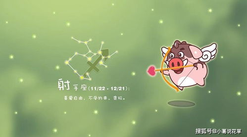 射手与金牛座，探寻爱情中的和谐共鸣