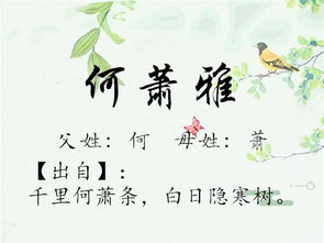 父亲姓赵，宝宝取名攻略，传承家风，寓意美好