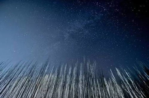 璀璨星空下的美丽使者，揭秘全身最漂亮的星座女