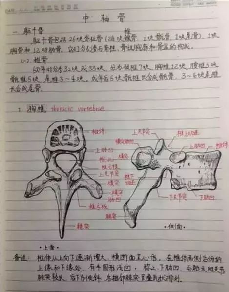 今日运势手写图片大全，探寻手绘魅力，解读每日吉凶