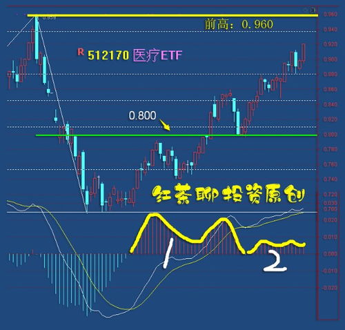 厚朴基金今日运势分析，市场风云变幻，投资策略解读