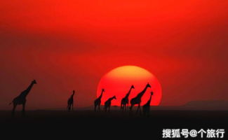 射手座当前感情运势，阳光照耀下的浪漫之旅