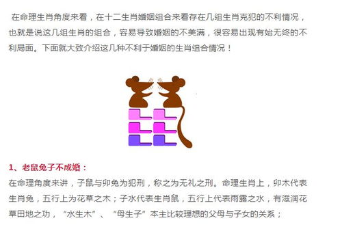 猪和猪八字合不合婚姻，揭秘生肖猪的婚配奥秘