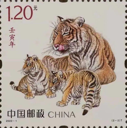 虎宝宝准妈妈如何为宝宝取名，寓意美好，独具匠心