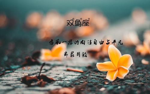 摩羯座11月初感情运势，温情脉脉，邂逅良缘在即