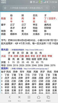 丁巳日八字合婚探析，缘分的交织与和谐