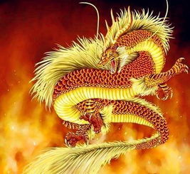 2024年属龙感情运势详解，爱情甜蜜，运势攀升